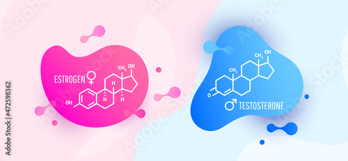 Estrogen and testosterone hormones molecular skeletal formula with color liquid fluid shapes on white background, vector illustration