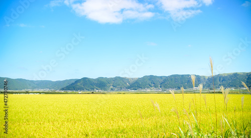 実りの秋「阿蘇外輪山を背景に阿蘇の農産物風景」 Fruitful autumn "Aso's agricultural products landscape against the backdrop of Mt. Aso Sotowa" 日本2021年(秋)撮影 Taken in 2021 (Autumn), Japan (九州・熊本県阿蘇市) (Kyushu, Aso City,)
