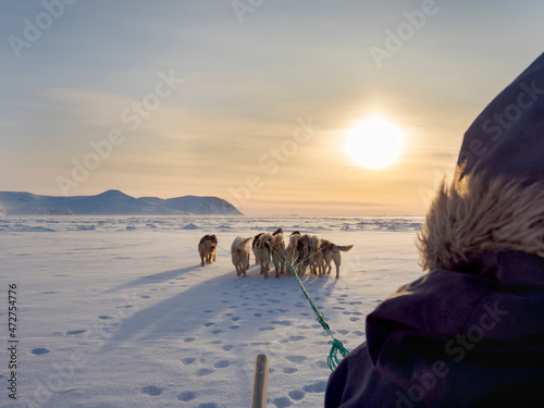 Inuit hunter on dog sled on the sea ice of the Melville Bay near Kullorsuaq in North Greenland. North America, danish territory