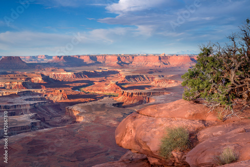 USA, Utah. Canyonlands National Park, morning view from Green River Overlook with twisted, steep-walled canyon about 2000 feet below, Island in the Sky District.
