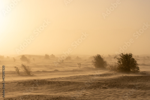 Dense Sand Storm Whips Through Stove Pipe Wells