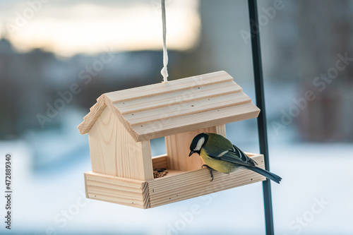 a great tit in a bird feeder located in a house balcony