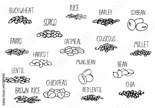 Vector hand drawn set of cereals, beans with their names. Black and white illustration for store decoration, grocery shop concept. Illustration can be used for sold by weight food