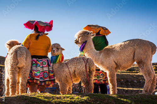 Indigenous women in traditional clothing with alpacas, Cusco, Peru