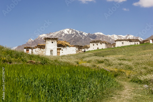 Old white traditional houses set in green fields with Himalayan mountains at the back in the village of Kargyak in Zanskar.