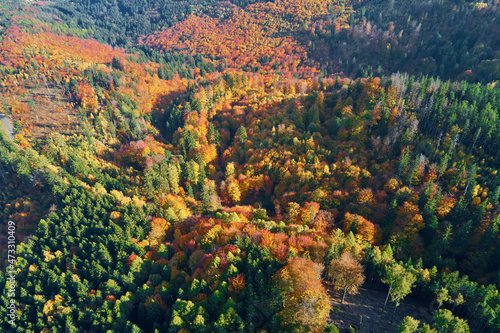 Mountains covered with autumn colored forest, aerial view. Beautiful nature landscape