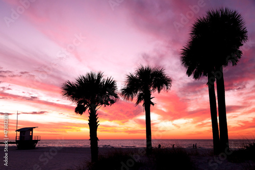The beach at sunset with silhouetted palm trees and dramatic sky. 