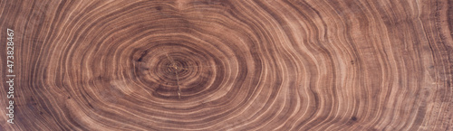 elm surface board with cross section