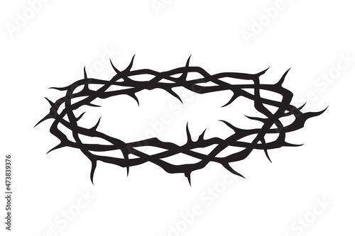 black crown of thorns image isolated on white background