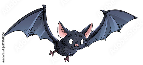 Illustration of gray bat flying