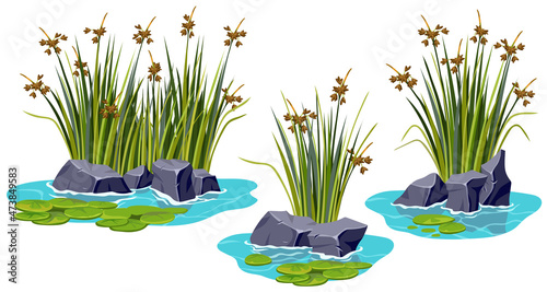 Marsh reed, grass, stone, spatter-dock in pond. Set of swamp cattails, rock, nenuphar in lake. Vector bulrush, water lily for computer games isolated on white background.