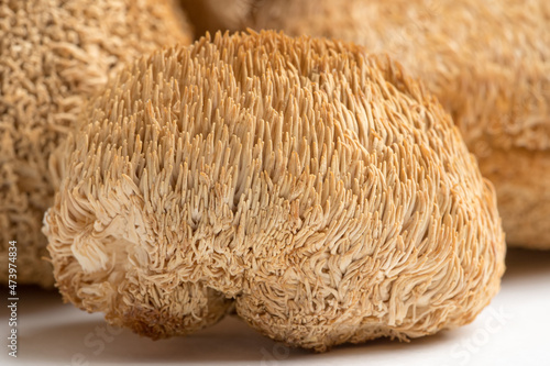Dried Lion's Mane mushrooms or Hericium Erinaceus also called bearded tooth fungus.