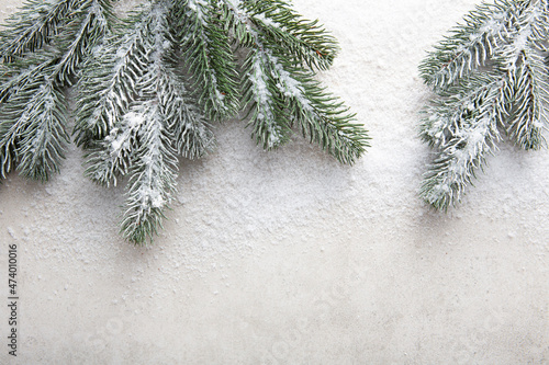 Green braches on light surface Christmas background