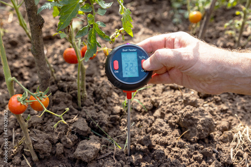 Soil test - measuring temperature, moisture content, environmental humidity and illumination in a vegetable garden