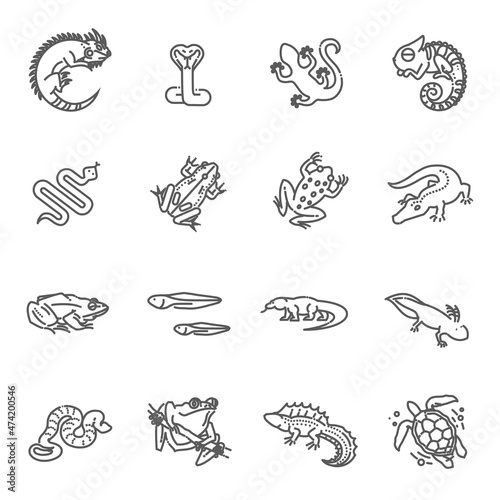 Reptiles and amphibians icons set. Line design