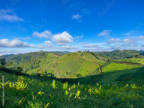 Blue sky with green moutain lanscape, beautiful landscape wallpaper
