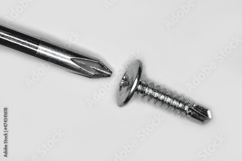 Phillips screwdriver tip and wood screw, isolated on white