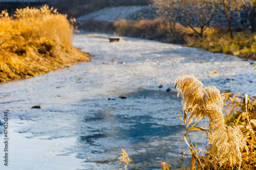 물안개 핀 겨울 하천의 아침 풍경