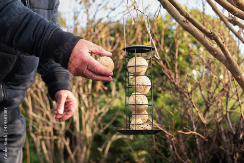 The hand of a senior man holding a suet, fat ball which is food for wild birds. He is next to the handing dispenser he has been filling.