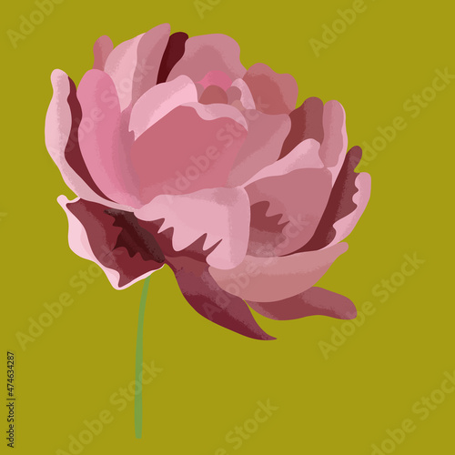 Duży jasny różowy kwiat na zielonym kontrastowym tle