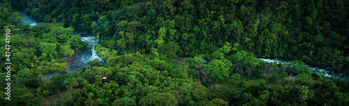 La selva de la reserva de la biosfera de Los Tuxtlas, lleno de biodiversidad, esta área natural protegida se ubica en Veracruz, México.