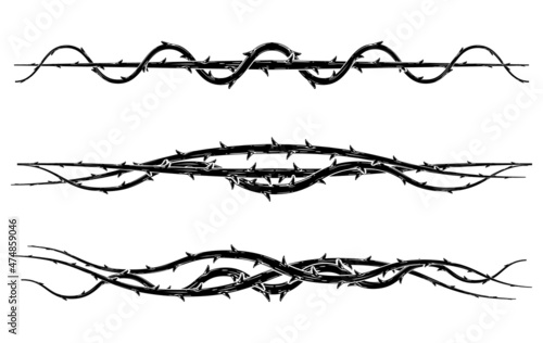 Blackthorn branches with thorns set.