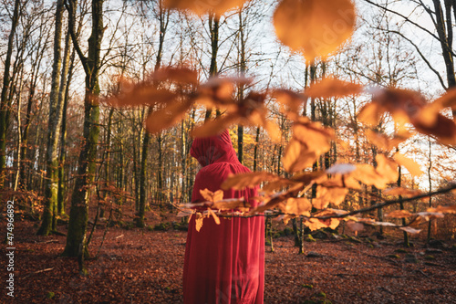 Wizard or Witch och Sorcerer or Sorceress or other fantasy character in the Swedish autumn woodlands