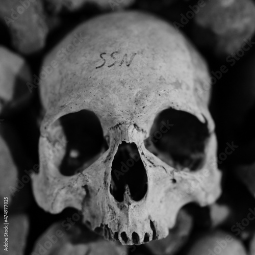 Skull