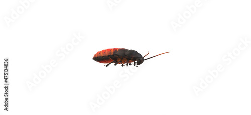 3d illustration of oriental cockroach isolated on white background - roach - beetle - ladybug
