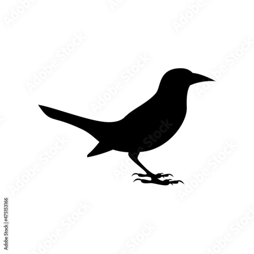Black silhouette of common grackle isolated on white background