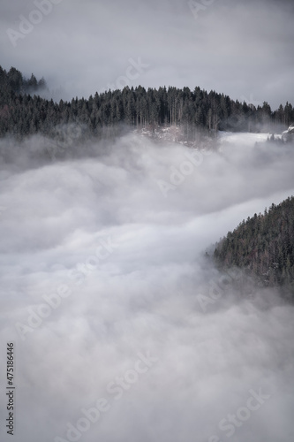 landscape with dramatic fog, forest and mountains in winter 