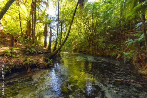 Landscape Scenery of Clean and Clear Water Stream at Hamurana Rotorua, New Zealand