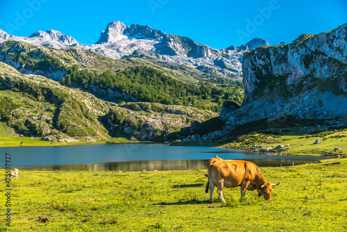 Lagos de Covadonga en Picos de Europa Asturias