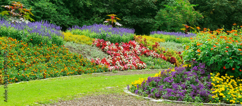 Luxurious flowerbed in the summer city garden. Wide photo.