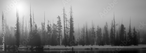 Grayscale landscape in Wyoming, Yellowstone national park