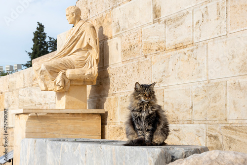 A long hair Maine Coon cat sits near a Greek Statue on Acropolis Hill in Athens, Greece.