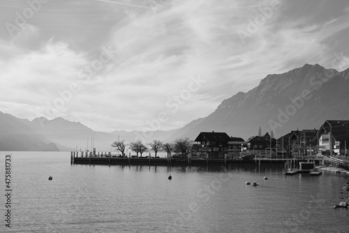 Houses and trees in Brienz.