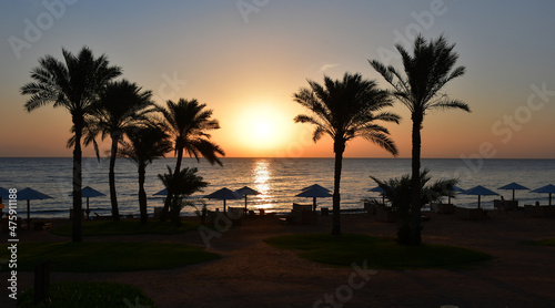 View from the beach at sunrise over the sea. A sunny path on the water. Silhouettes of beach umbrellas and sun beds. palm trees. A beautiful start to the holiday day