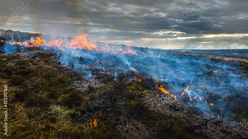 Burning heather as management of moorland, Yorkshire, UK.