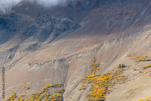 Vast landscape in scenic northern Canada of distant mountain view. 