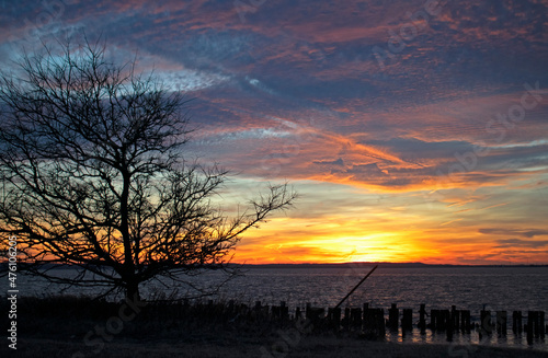 Colorful sunset over Sandy Hook Bay, New Jersey, on a late afternoon with a mostly stratus cloud filled sky and a tree in silhouette -63
