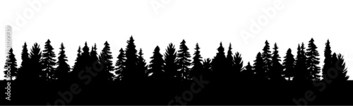 Long tree line forest