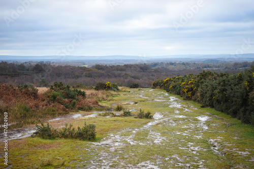 Ashdown Forest view in East Sussex, UK. Located in the High Weald Area of Outstanding Natural Beauty, a wet muddy grass footpath leads into the distance with the South Downs in the background.