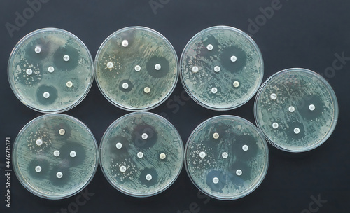 antimicrobial susceptibility test Antibiogram Antibiotic resistance bacteria 
