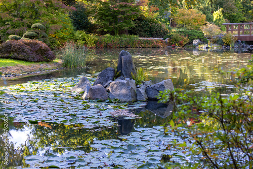Japanese Garden in in Szczytnicki Park, exotic plants, Wroclaw, Poland.