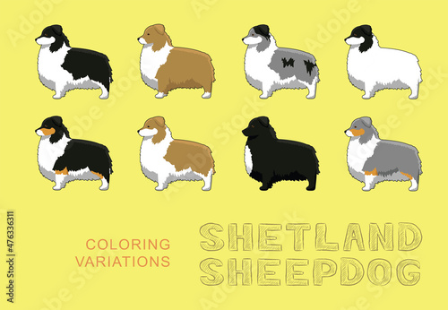 Dog Shetland Sheepdog Coloring Variations Cartoon Vector Illustration