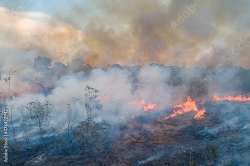 Incêndio na Floresta / Queimadas vista com Drone