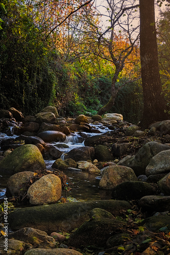 Streams of clean water in the forests of Extremadura in autumn landscape. Hervas, Extremadura, Spain.