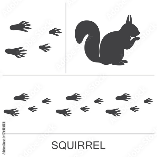 Squirrel silhouette and prints of the hind and fore paws. Vector illustration on a white background.