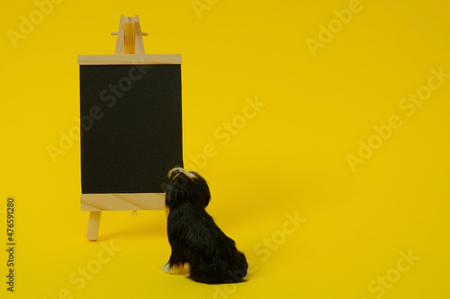 A black board with a wooden stand and a figure of a black dog looking at the board on a yellow background. Text space. Advertising, promotion, sales, dog lovers, concept. Minimal style.